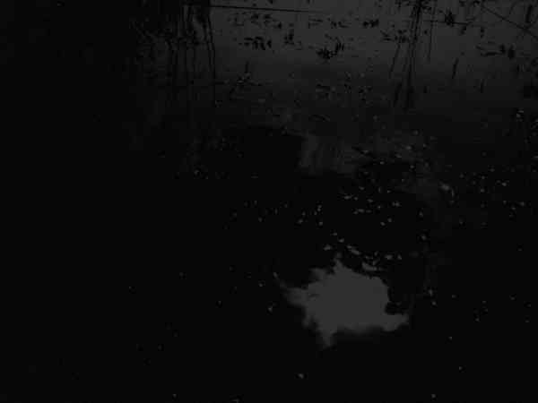black and white photo of a pond